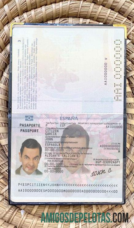 Espanha até 2015 foto do passaporte baixar para verificação